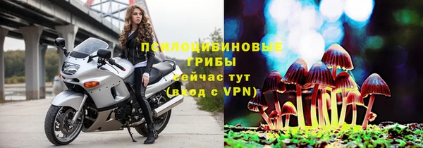 каннабис Арсеньев