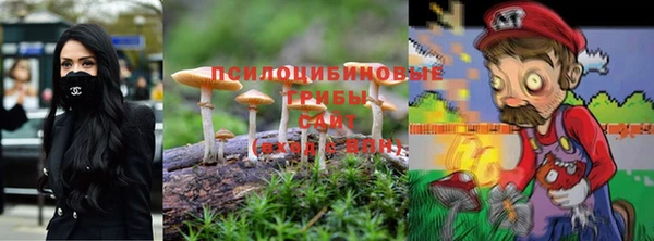 не бодяженный Аркадак