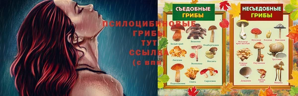 а пвп мука Баксан