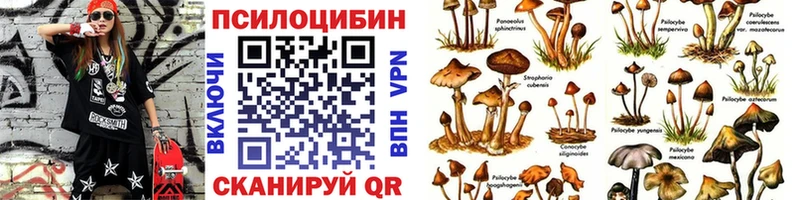 Галлюциногенные грибы Cubensis  хочу   кракен ССЫЛКА  Нижняя Салда 
